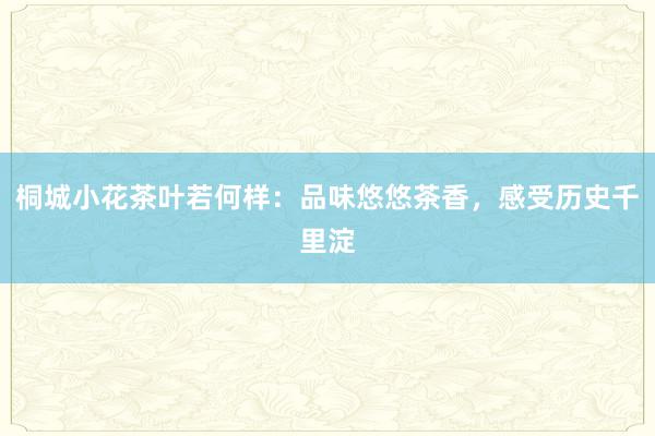 桐城小花茶叶若何样：品味悠悠茶香，感受历史千里淀